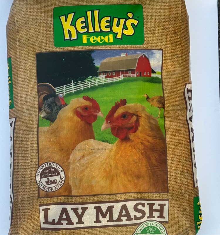 Lay Mash