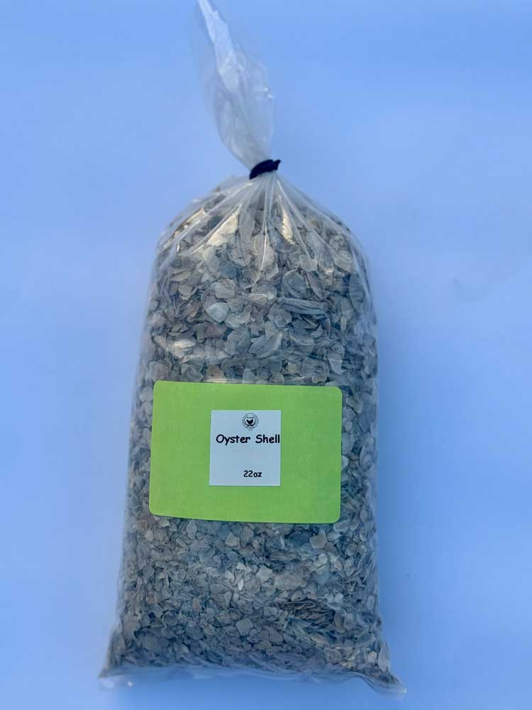 Oyster Shell 22oz